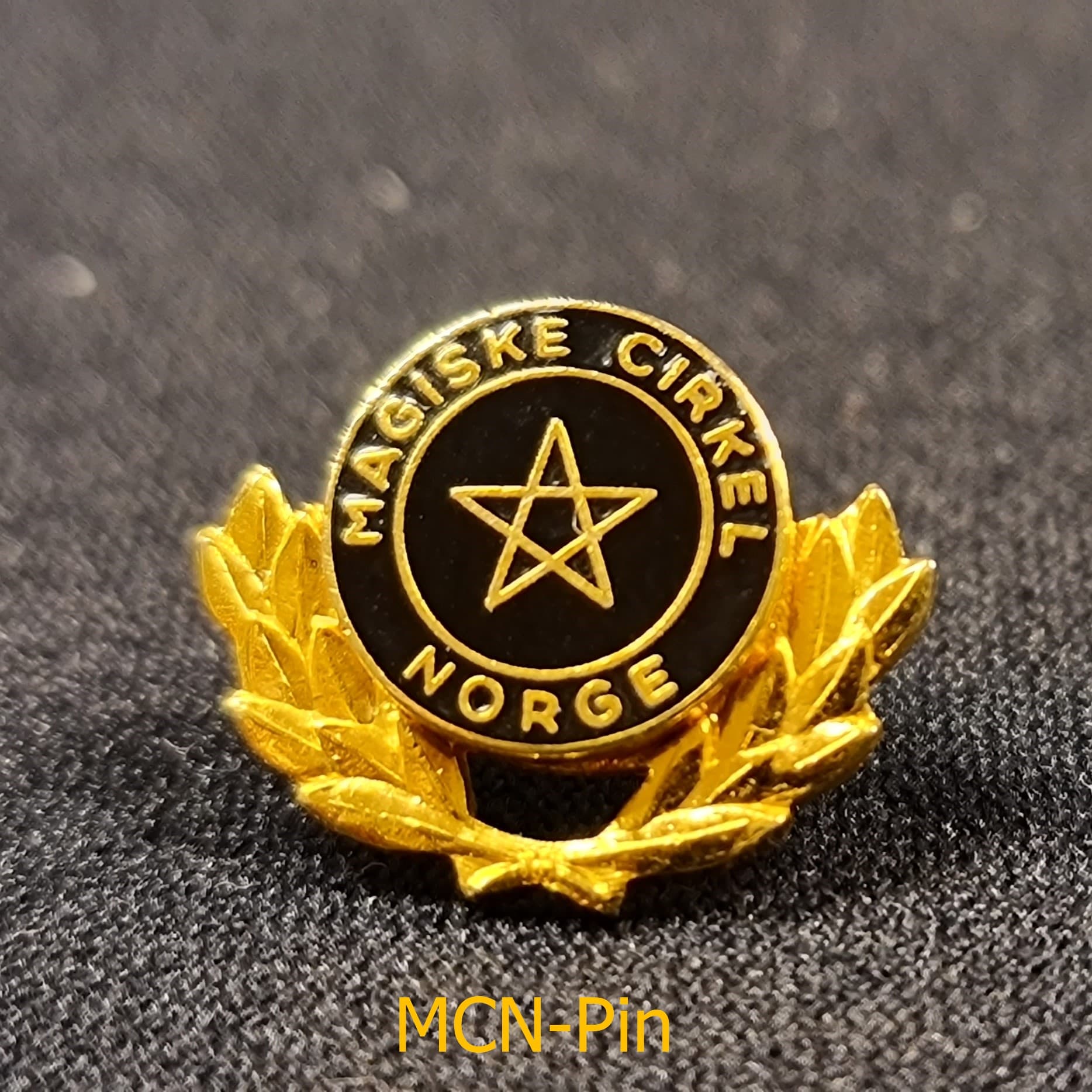 Pin